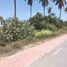  Terrain for sale in San Blas, Nayarit, San Blas