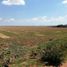  Land for sale in Cajeme, Sonora, Cajeme, Sonora