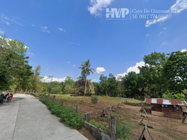  Land for sale in Alaminos, Laguna, Alaminos