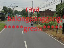  Land for sale in Gresik, East Jawa, Balong Panggang, Gresik