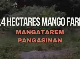  Land for sale in Pangasinan, Ilocos, Mangatarem, Pangasinan