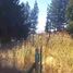  Land for sale in Pilcaniyeu, Rio Negro, Pilcaniyeu