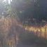  Land for sale in Pilcaniyeu, Rio Negro, Pilcaniyeu