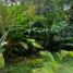 3 Bedroom House for rent in Cozumel, Quintana Roo, Cozumel, Quintana Roo