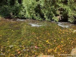  Terreno (Parcela) en venta en Los Ríos, Mariquina, Valdivia, Los Ríos