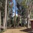  Terreno (Parcela) en venta en Los Ríos, Mariquina, Valdivia, Los Ríos