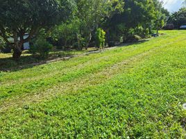  Land for sale in Cavite, Calabarzon, Alfonso, Cavite