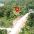  Land for sale in San Francisco, Cebu, San Francisco