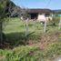  Land for sale in Rionegro, Antioquia, Rionegro