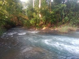  Land for sale in Puerto Princesa City, Mimaropa, Puerto Princesa City, Palawan, Mimaropa