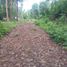  Land for sale in Puerto Princesa City, Mimaropa, Puerto Princesa City, Palawan, Mimaropa