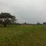  Terreno (Parcela) en venta en Calamba City, Calabarzon, Calamba City, Laguna, Calabarzon, Filipinas