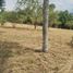  Land for sale in Pandi Cundinamarca, Pandi