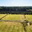  Land for sale in Chile, Frutillar, Llanquihue, Los Lagos, Chile
