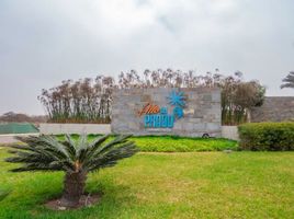  Terreno (Parcela) en venta en Asia, Lima, Asia