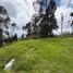  Land for sale in Pichincha, Quito, Quito, Pichincha