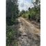  Land for sale in Cancun, Quintana Roo, Cancun