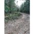  Land for sale in Cancun, Quintana Roo, Cancun