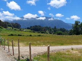 Terreno (Parcela) en venta en Chile, Futrono, Ranco, Los Ríos, Chile