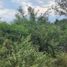  Terreno (Parcela) en venta en Santiago, Nuevo León, Santiago, Nuevo León