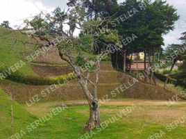  Grundstück zu verkaufen in Rionegro, Antioquia, Rionegro, Antioquia