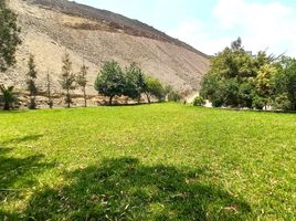  Land for sale in Pachacamac, Lima, Pachacamac