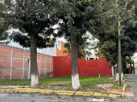  Terreno (Parcela) en venta en San Gregorio Atzompa, Puebla, San Gregorio Atzompa