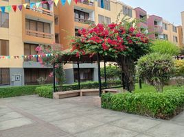 3 Habitación Apartamento en venta en San Martin de Porres, Lima, San Martin de Porres