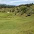  Land for sale in Penol, Antioquia, Penol