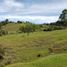  Land for sale in Penol, Antioquia, Penol