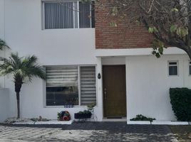 Maison 3 chambre à vendre à El Marques, Queretaro, El Marques