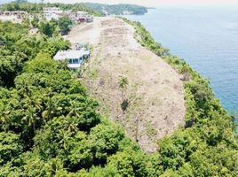  Grundstück zu verkaufen in Oriental Mindoro, Mimaropa, Puerto Galera