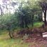  Land for sale in Jilotzingo, Mexico, Jilotzingo