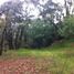  Land for sale in Jilotzingo, Mexico, Jilotzingo
