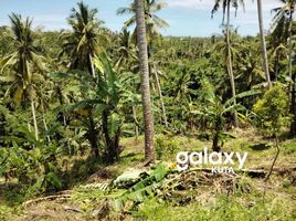  Land for sale in Selemadeg, Tabanan, Selemadeg