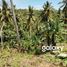  Land for sale in Selemadeg, Tabanan, Selemadeg