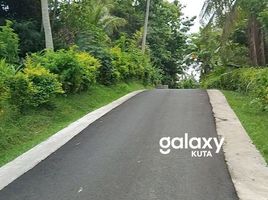  Land for sale in Jembrana, Bali, Negara, Jembrana