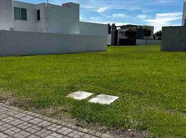  Grundstück zu verkaufen in Atlixco, Puebla, Atlixco, Puebla