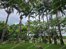  Land for sale in Guayaquil, Guayaquil, Guayaquil