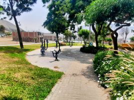  Land for sale in Pachacamac, Lima, Pachacamac