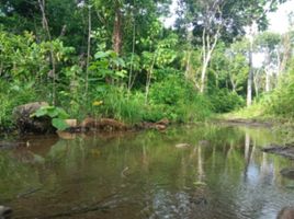  Land for sale in Puerto Princesa City, Mimaropa, Puerto Princesa City, Palawan, Mimaropa