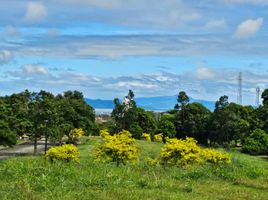  Land for sale at Lumira NUVALI, Calamba City