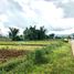  Land for sale in Gingoog City, Northern Mindanao, Gingoog City, Misamis Oriental, Northern Mindanao