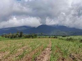  Land for sale in Bago City, Negros Occidental, Bago City