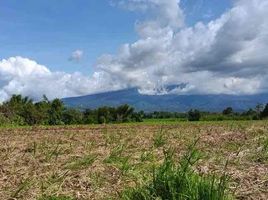  Land for sale in Bago City, Negros Occidental, Bago City