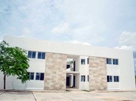 2 Bedroom Condo for rent in Merida, Yucatan, Merida, Yucatan