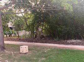  Grundstück zu verkaufen in Conkal, Yucatan, Conkal