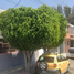 3 Schlafzimmer Haus zu verkaufen in Puebla, Puebla, Puebla, Puebla