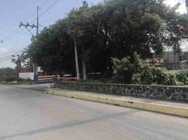  Land for sale in Bacoor City, Cavite, Bacoor City