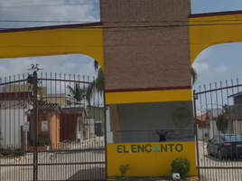  Terreno (Parcela) en venta en Xico, Veracruz, Xico